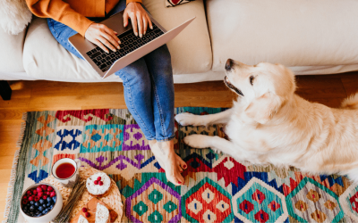 Creating a Pet-Friendly Haven: Simple Tips from Maintenance Pro