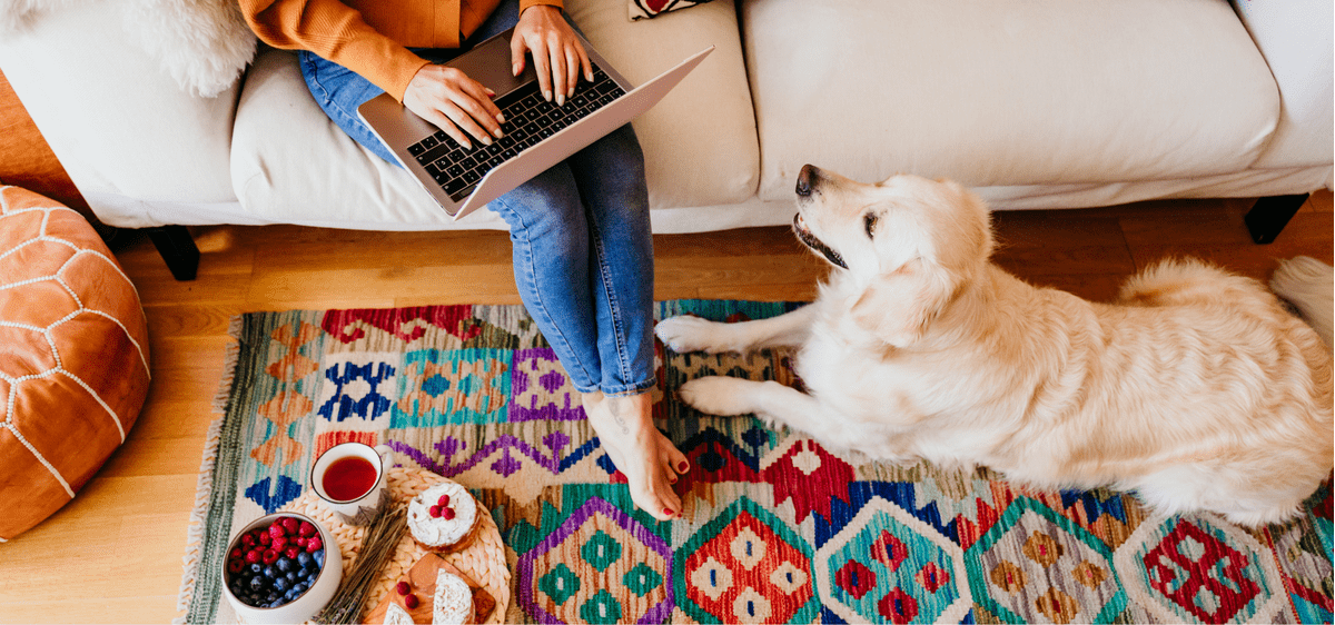 Blog Feature Image – pet friendly home Feature Image - pet friendly home
