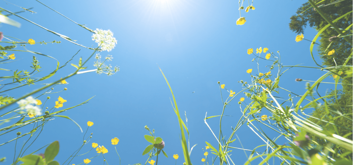 Blog Feature Image - summer home maintenance