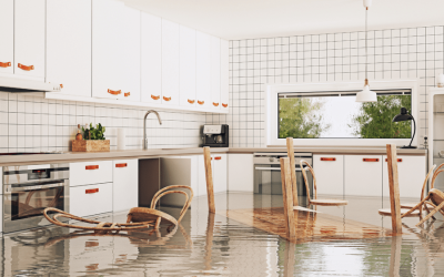 Flood-Proofing Your Home: Strategies for California’s Rainy Seasons