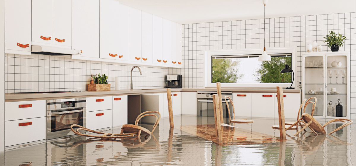 Feature Image - Flood Proofing