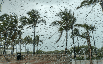 Navigating Post-Storm Cleanup: A Handy Guide from Maintenance Pro