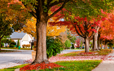 Autumn Maintenance Projects: Indoor Tasks You Shouldn’t Delay