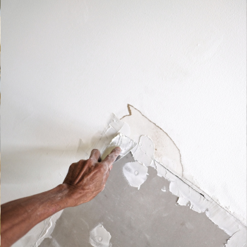 Replace or fix - Drywall & Paint