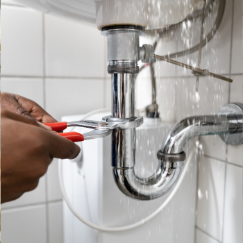 Replace or fix - Faucets & Fixtures